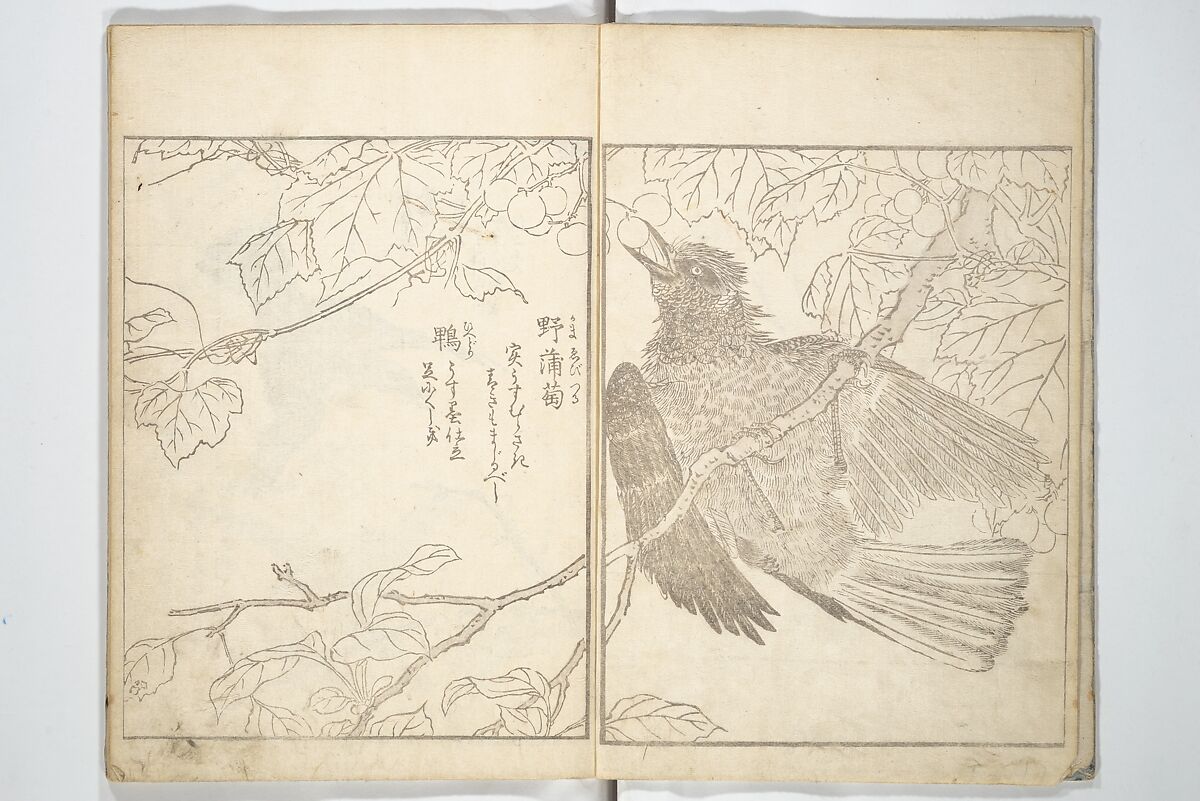 True Depictions of Bird and Flower Pictures (Kachōe shashin zui) 花鳥写真図彙; 花鳥写真図会(かちょうえ しゃしん ずえ), Kitao Shigemasa 北尾重政 (Japanese, 1739–1820), Set of three woodblock printed books; ink on paper, Japan