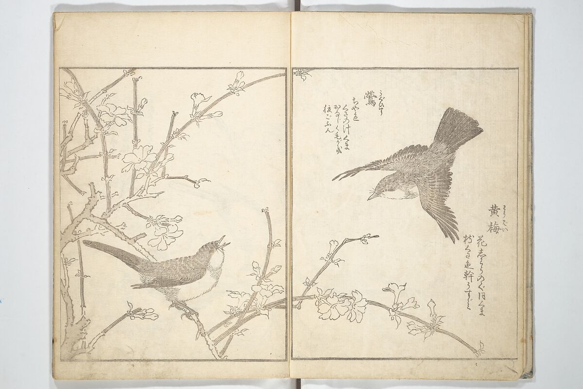 True Depictions of Bird and Flower Pictures (Kachōe shashin zui) 花鳥写真図彙; 花鳥写真図会(かちょうえ しゃしん ずえ), Kitao Shigemasa 北尾重政 (Japanese, 1739–1820), Set of three woodblock printed books; ink on paper, Japan