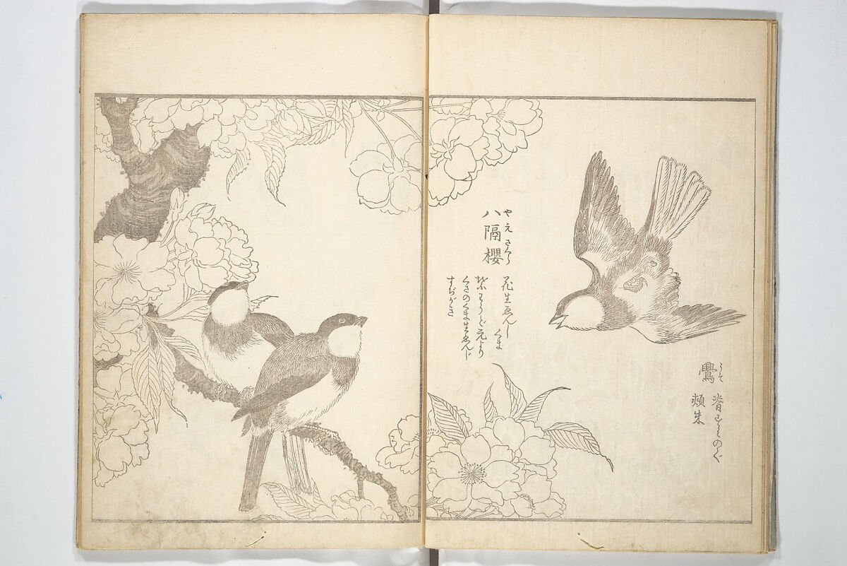 True Depictions of Bird and Flower Pictures (Kachōe shashin zui) 花鳥写真図彙; 花鳥写真図会(かちょうえ しゃしん ずえ), Kitao Shigemasa 北尾重政 (Japanese, 1739–1820), Set of three woodblock printed books; ink on paper, Japan 