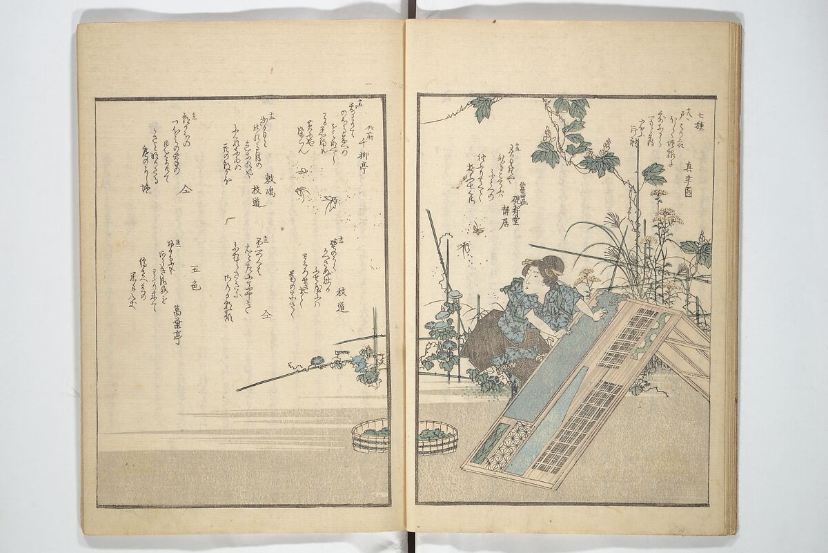 Collection of Famous Kyōka Poems Selected by Shakuyakutei ( Meisū kyōkashu) 名数狂歌集, Yanagawa Shigenobu 柳川重信 (Japanese, 1787–1832), Set of three woodblock printed books; ink and color on paper, Japan