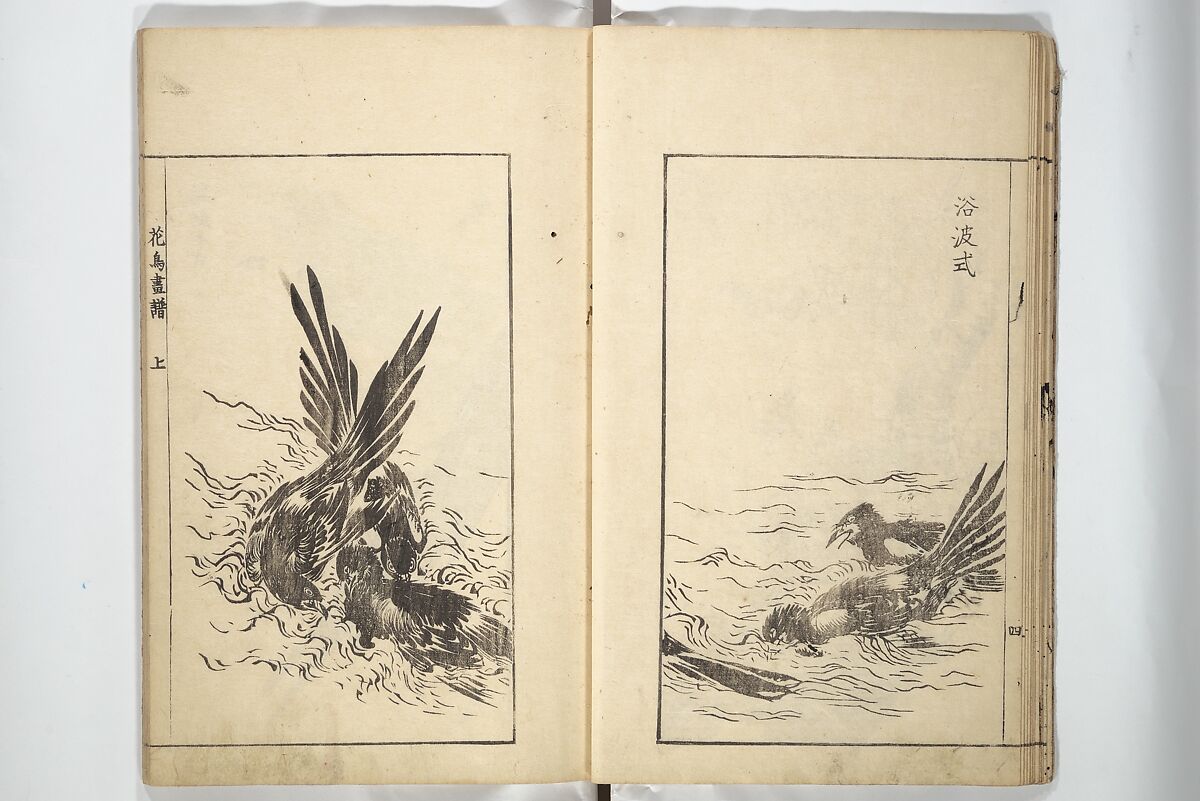 Sō Shiseki Picture Album (Sō Shiseki gafu)  宋紫石画譜, Sō Shiseki 宋紫石 (Japanese, 1715–1786), Set of three woodblock printed books; ink, color, and hand-coloring (vol. 2) on paper, Japan