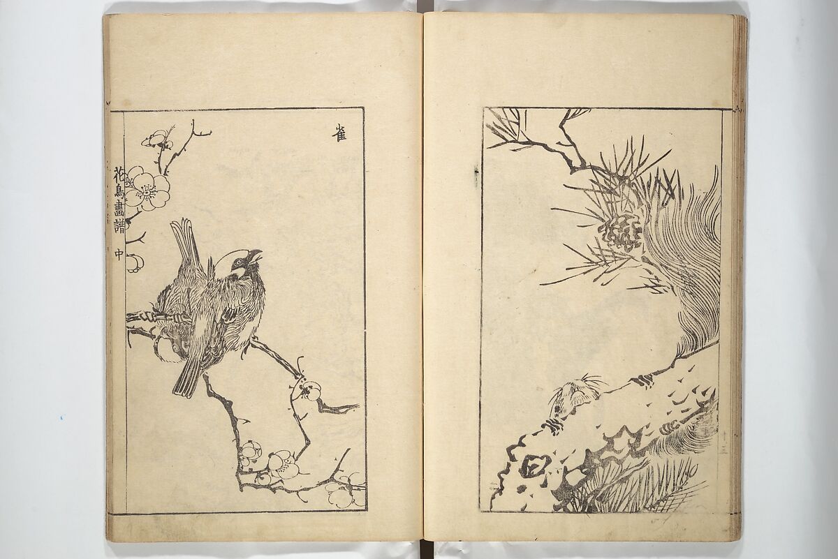 Sō Shiseki Picture Album (Sō Shiseki gafu)  宋紫石画譜, Sō Shiseki 宋紫石 (Japanese, 1715–1786), Set of three woodblock printed books; ink, color, and hand-coloring (vol. 2) on paper, Japan
