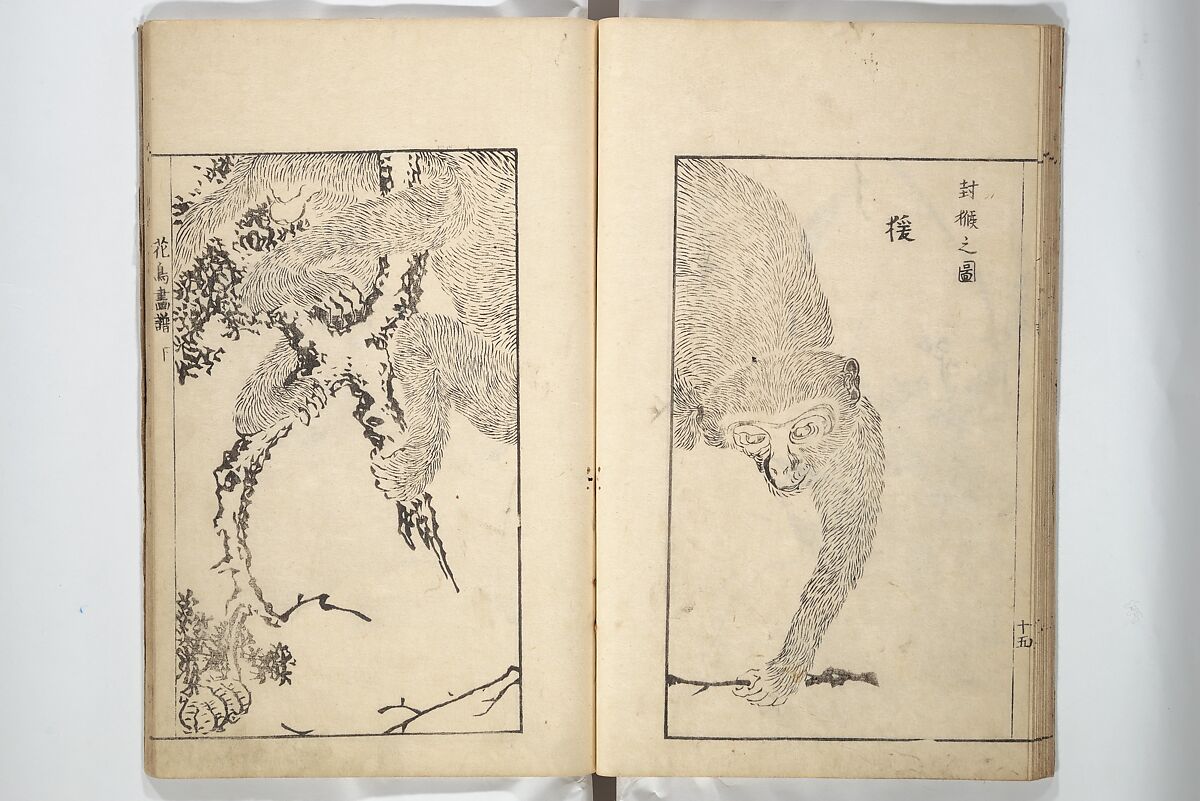 Sō Shiseki Picture Album (Sō Shiseki gafu)  宋紫石画譜, Sō Shiseki 宋紫石 (Japanese, 1715–1786), Set of three woodblock printed books; ink, color, and hand-coloring (vol. 2) on paper, Japan