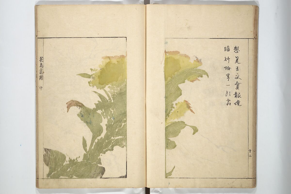 Sō Shiseki Picture Album (Sō Shiseki gafu)  宋紫石画譜, Sō Shiseki 宋紫石 (Japanese, 1715–1786), Set of three woodblock printed books; ink, color, and hand-coloring (vol. 2) on paper, Japan