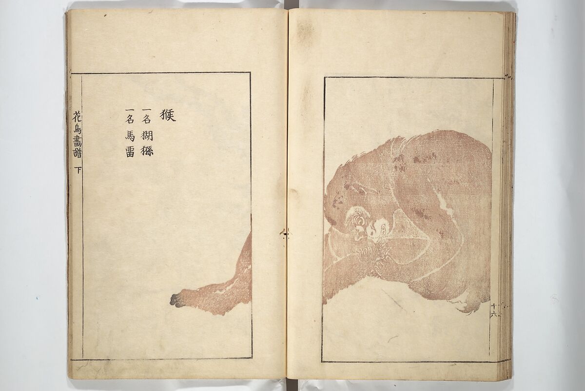 Sō Shiseki Picture Album (Sō Shiseki gafu)  宋紫石画譜, Sō Shiseki 宋紫石 (Japanese, 1715–1786), Set of three woodblock printed books; ink, color, and hand-coloring (vol. 2) on paper, Japan