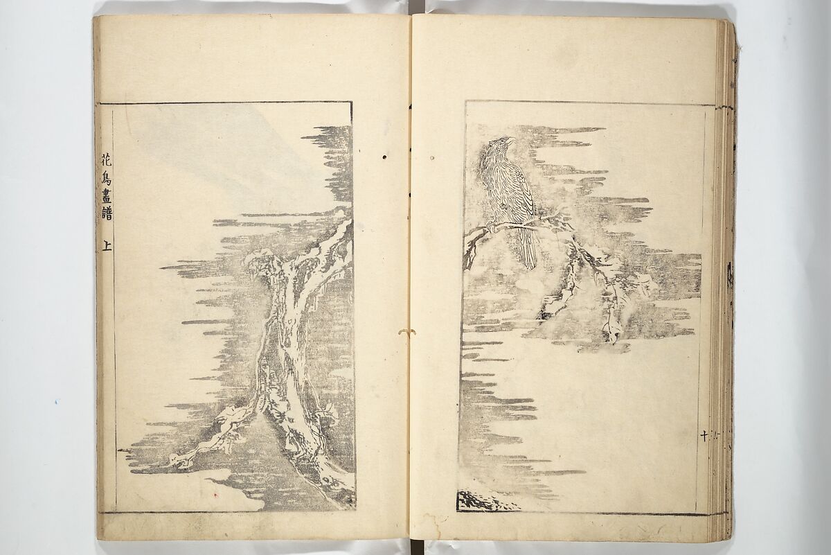 Sō Shiseki Picture Album (Sō Shiseki gafu)  宋紫石画譜, Sō Shiseki 宋紫石 (Japanese, 1715–1786), Set of three woodblock printed books; ink, color, and hand-coloring (vol. 2) on paper, Japan