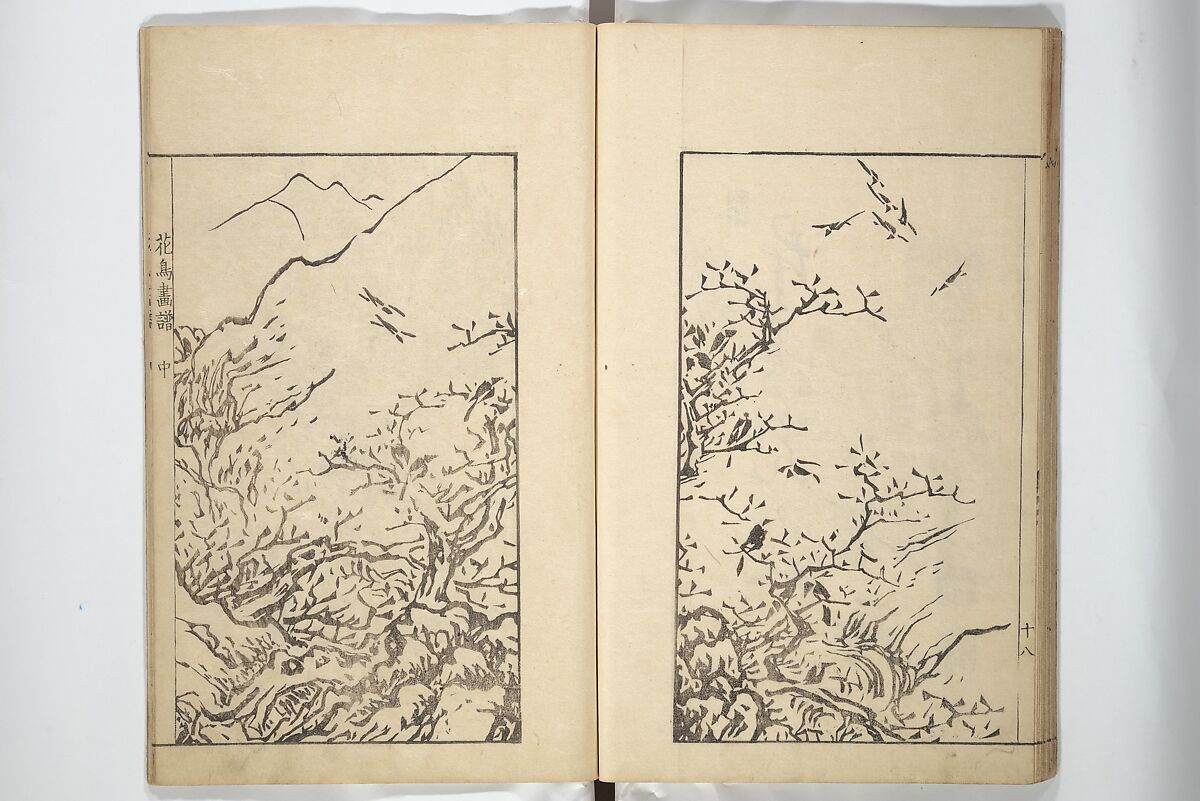 Sō Shiseki Picture Album (Sō Shiseki gafu)  宋紫石画譜, Sō Shiseki 宋紫石 (Japanese, 1715–1786), Set of three woodblock printed books; ink, color, and hand-coloring (vol. 2) on paper, Japan