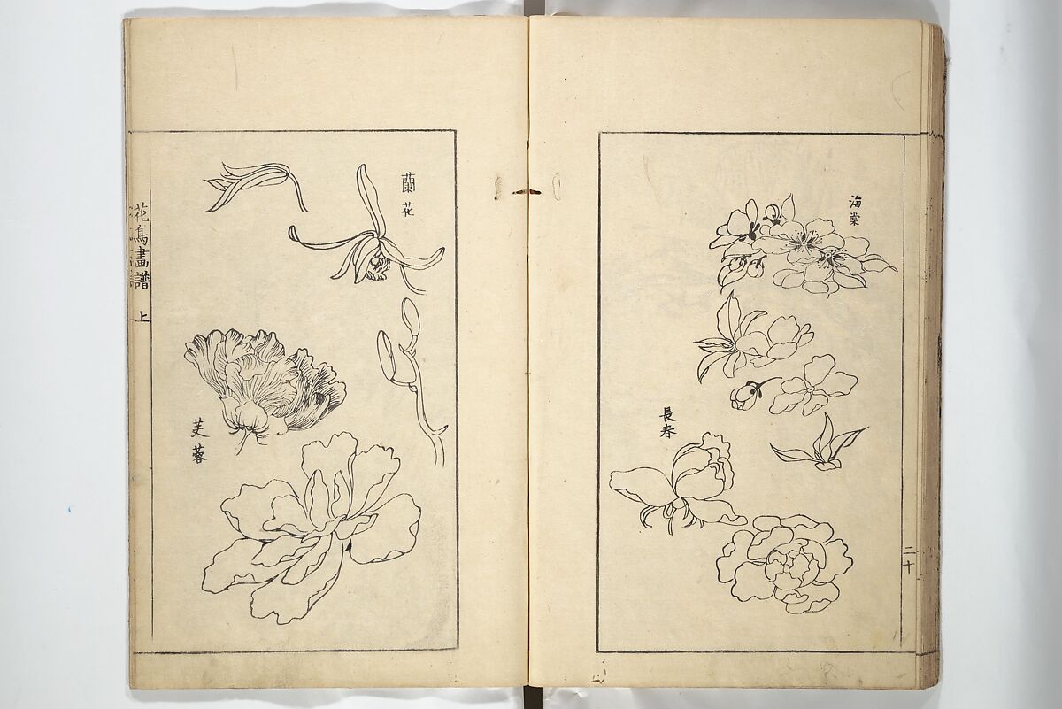 Sō Shiseki Picture Album (Sō Shiseki gafu)  宋紫石画譜, Sō Shiseki 宋紫石 (Japanese, 1715–1786), Set of three woodblock printed books; ink, color, and hand-coloring (vol. 2) on paper, Japan