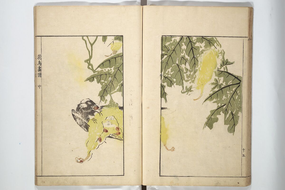 Sō Shiseki Picture Album (Sō Shiseki gafu)  宋紫石画譜, Sō Shiseki 宋紫石 (Japanese, 1715–1786), Set of three woodblock printed books; ink, color, and hand-coloring (vol. 2) on paper, Japan