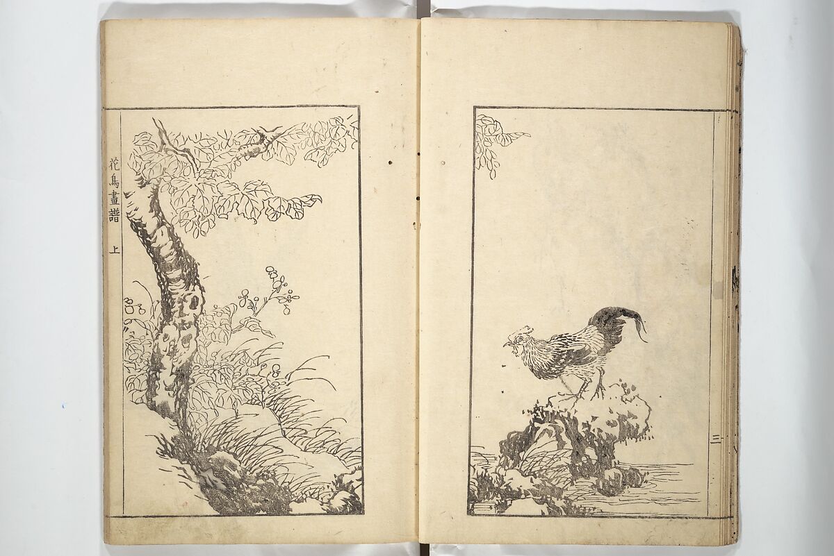 Sō Shiseki Picture Album (Sō Shiseki gafu)  宋紫石画譜, Sō Shiseki 宋紫石 (Japanese, 1715–1786), Set of three woodblock printed books; ink, color, and hand-coloring (vol. 2) on paper, Japan