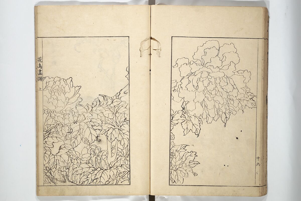 Sō Shiseki Picture Album (Sō Shiseki gafu)  宋紫石画譜, Sō Shiseki 宋紫石 (Japanese, 1715–1786), Set of three woodblock printed books; ink, color, and hand-coloring (vol. 2) on paper, Japan