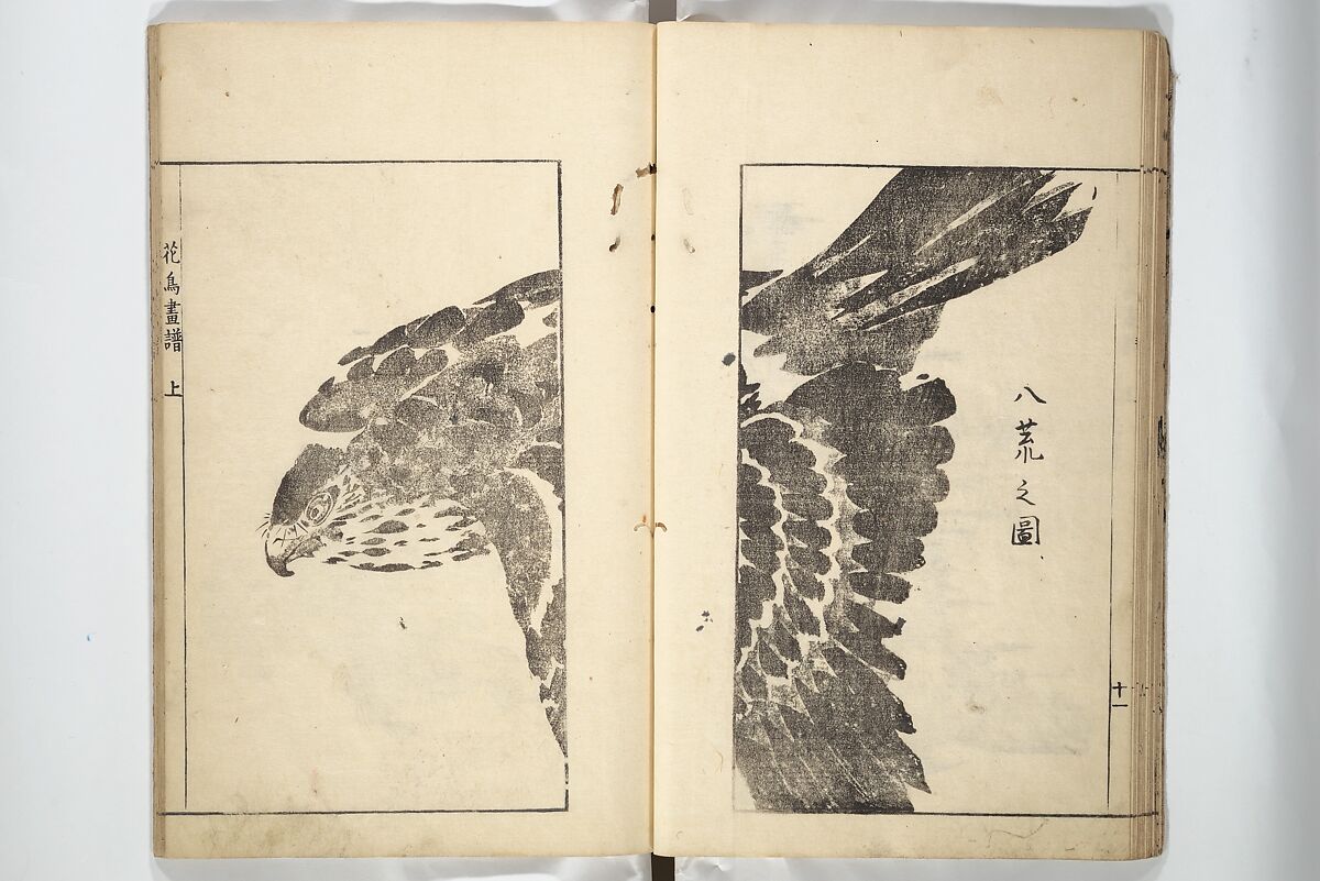 Sō Shiseki Picture Album (Sō Shiseki gafu)  宋紫石画譜, Sō Shiseki 宋紫石 (Japanese, 1715–1786), Set of three woodblock printed books; ink, color, and hand-coloring (vol. 2) on paper, Japan