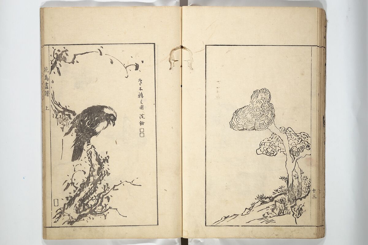 Sō Shiseki Picture Album (Sō Shiseki gafu)  宋紫石画譜, Sō Shiseki 宋紫石 (Japanese, 1715–1786), Set of three woodblock printed books; ink, color, and hand-coloring (vol. 2) on paper, Japan