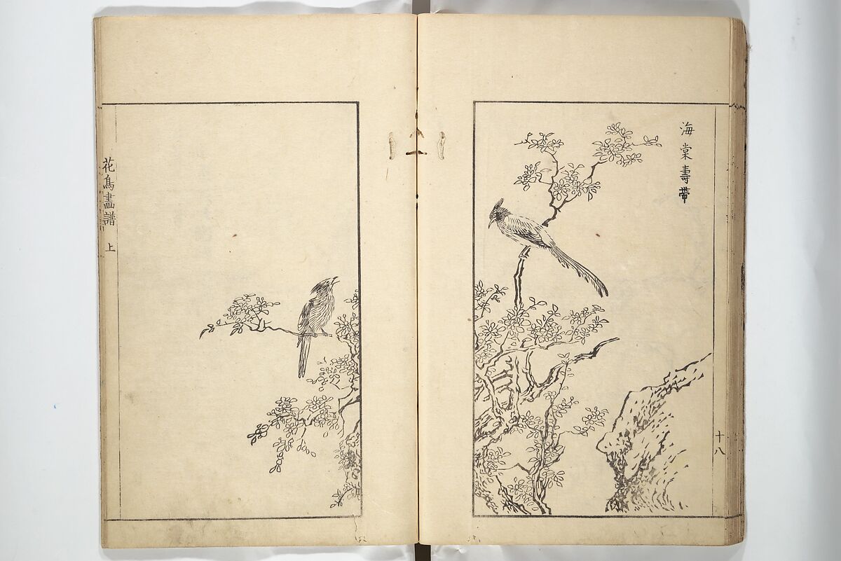 Sō Shiseki Picture Album (Sō Shiseki gafu)  宋紫石画譜, Sō Shiseki 宋紫石 (Japanese, 1715–1786), Set of three woodblock printed books; ink, color, and hand-coloring (vol. 2) on paper, Japan
