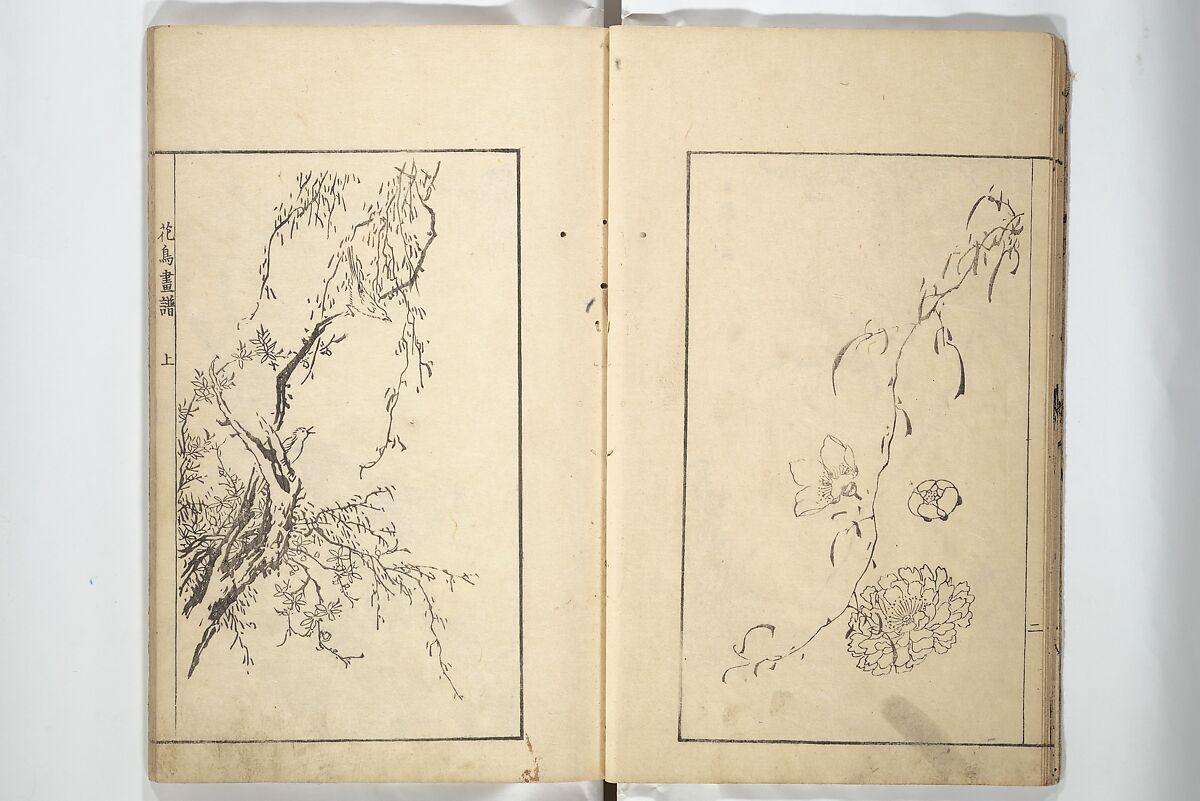 Sō Shiseki Picture Album (Sō Shiseki gafu)  宋紫石画譜, Sō Shiseki 宋紫石 (Japanese, 1715–1786), Set of three woodblock printed books; ink, color, and hand-coloring (vol. 2) on paper, Japan