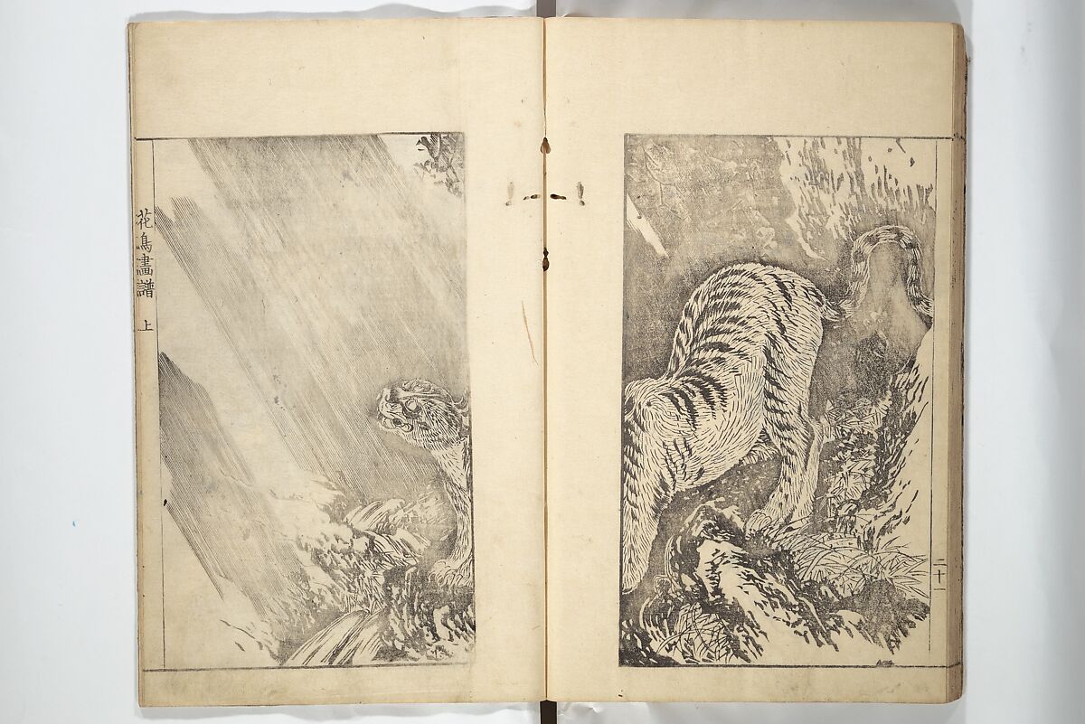 Sō Shiseki Picture Album (Sō Shiseki gafu)  宋紫石画譜, Sō Shiseki 宋紫石 (Japanese, 1715–1786), Set of three woodblock printed books; ink, color, and hand-coloring (vol. 2) on paper, Japan