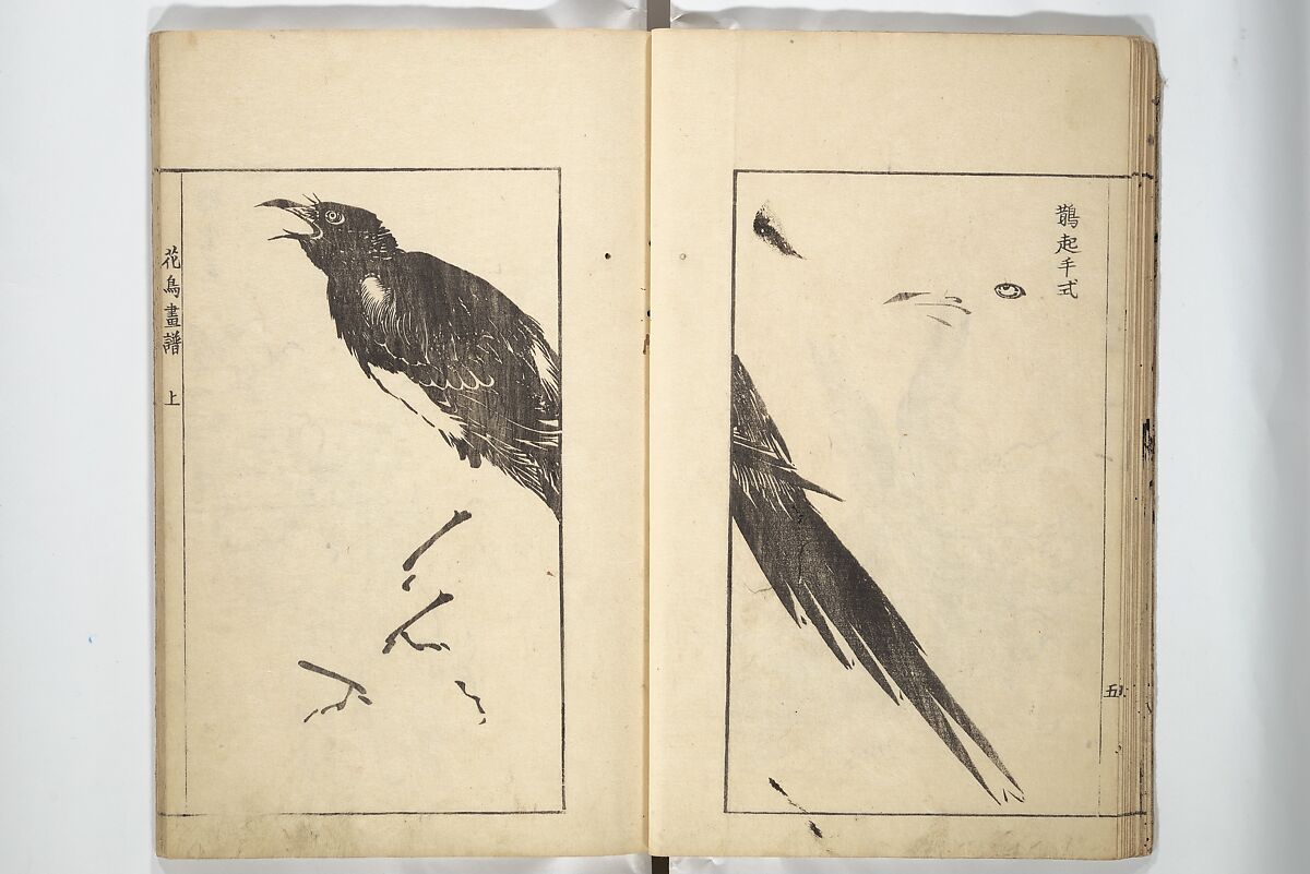 Sō Shiseki Picture Album (Sō Shiseki gafu)  宋紫石画譜, Sō Shiseki 宋紫石 (Japanese, 1715–1786), Set of three woodblock printed books; ink, color, and hand-coloring (vol. 2) on paper, Japan