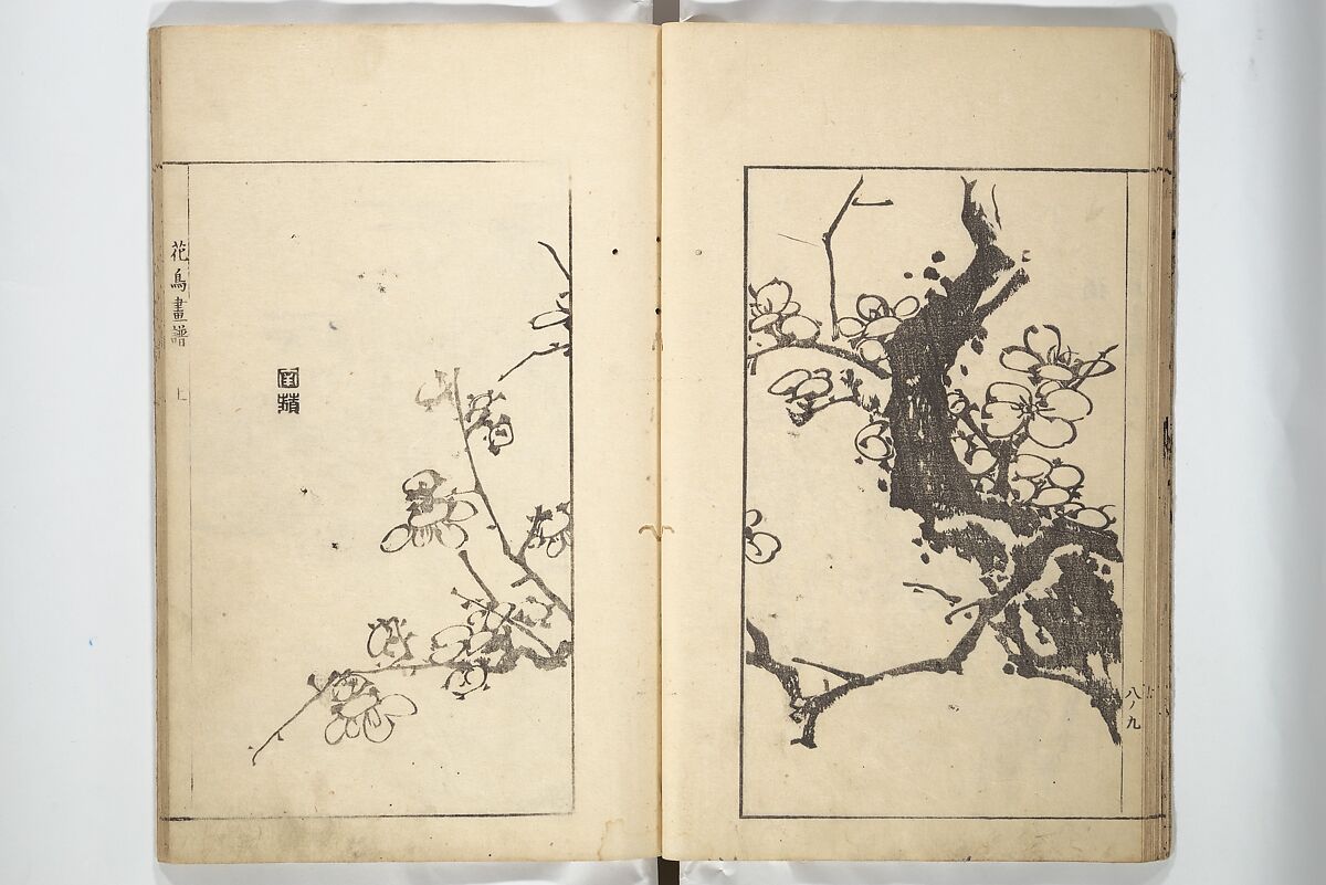 Sō Shiseki Picture Album (Sō Shiseki gafu)  宋紫石画譜, Sō Shiseki 宋紫石 (Japanese, 1715–1786), Set of three woodblock printed books; ink, color, and hand-coloring (vol. 2) on paper, Japan
