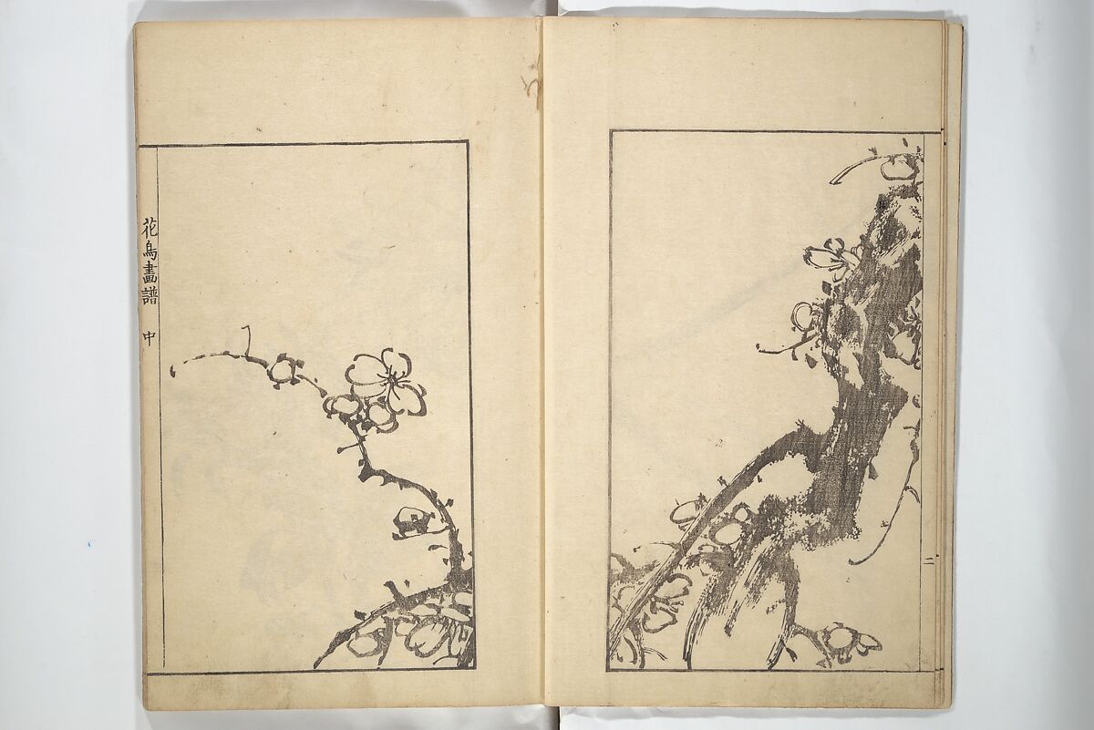 Sō Shiseki Picture Album (Sō Shiseki gafu)  宋紫石画譜, Sō Shiseki 宋紫石 (Japanese, 1715–1786), Set of three woodblock printed books; ink, color, and hand-coloring (vol. 2) on paper, Japan