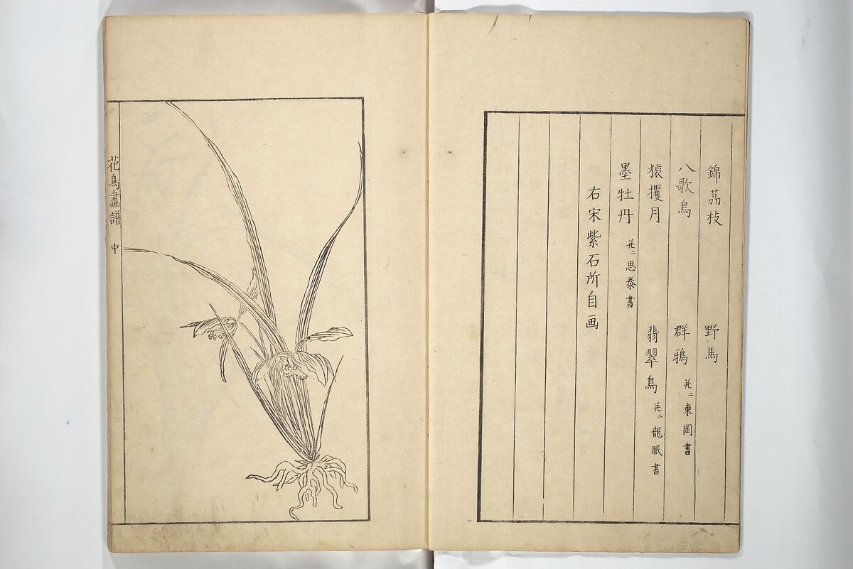 Sō Shiseki Picture Album (Sō Shiseki gafu)  宋紫石画譜, Sō Shiseki 宋紫石 (Japanese, 1715–1786), Set of three woodblock printed books; ink, color, and hand-coloring (vol. 2) on paper, Japan