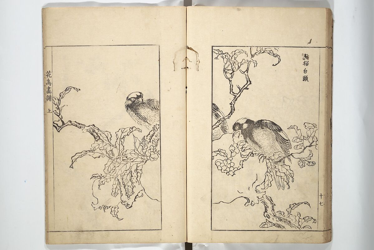 Sō Shiseki Picture Album (Sō Shiseki gafu)  宋紫石画譜, Sō Shiseki 宋紫石 (Japanese, 1715–1786), Set of three woodblock printed books; ink, color, and hand-coloring (vol. 2) on paper, Japan