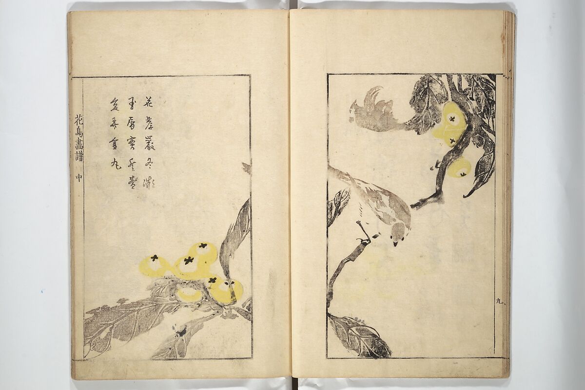 Sō Shiseki Picture Album (Sō Shiseki gafu)  宋紫石画譜, Sō Shiseki 宋紫石 (Japanese, 1715–1786), Set of three woodblock printed books; ink, color, and hand-coloring (vol. 2) on paper, Japan
