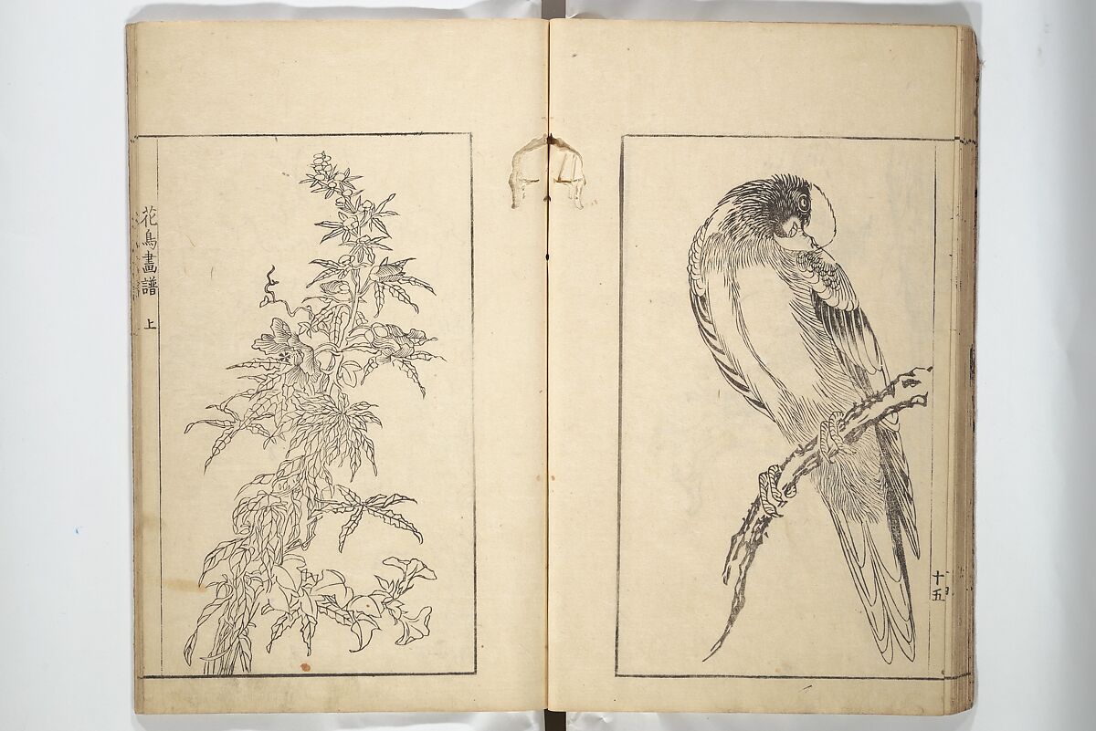 Sō Shiseki Picture Album (Sō Shiseki gafu)  宋紫石画譜, Sō Shiseki 宋紫石 (Japanese, 1715–1786), Set of three woodblock printed books; ink, color, and hand-coloring (vol. 2) on paper, Japan