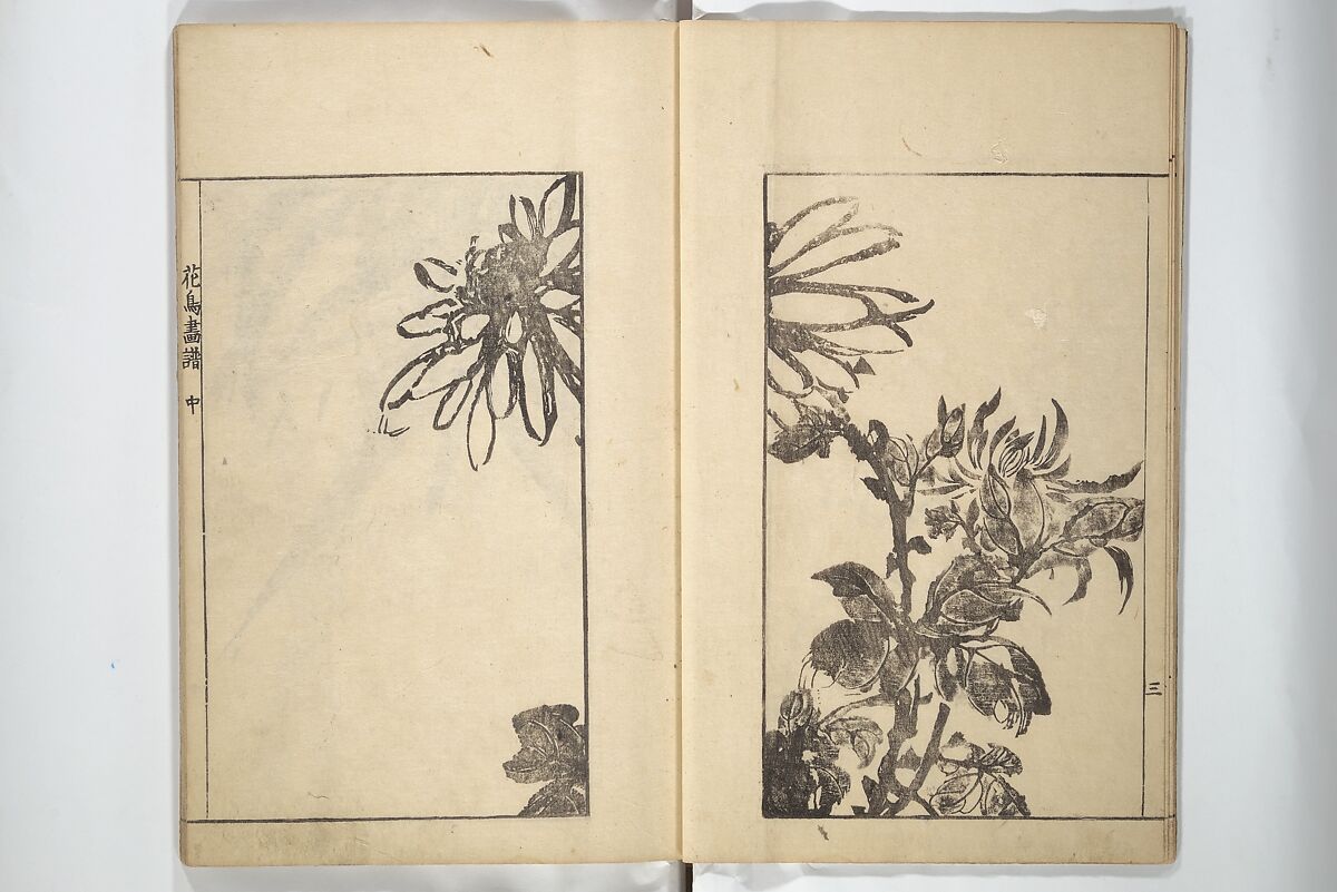 Sō Shiseki Picture Album (Sō Shiseki gafu)  宋紫石画譜, Sō Shiseki 宋紫石 (Japanese, 1715–1786), Set of three woodblock printed books; ink, color, and hand-coloring (vol. 2) on paper, Japan