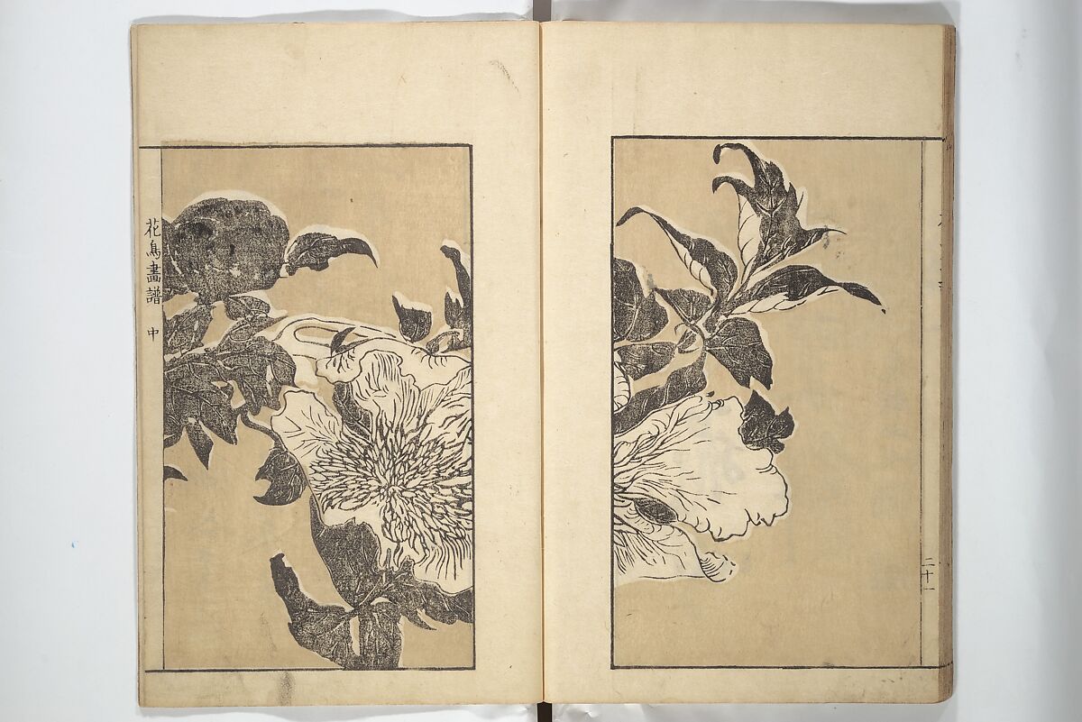 Sō Shiseki Picture Album (Sō Shiseki gafu)  宋紫石画譜, Sō Shiseki 宋紫石 (Japanese, 1715–1786), Set of three woodblock printed books; ink, color, and hand-coloring (vol. 2) on paper, Japan