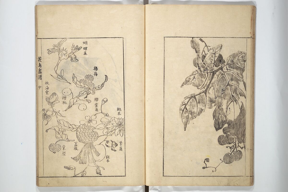 Sō Shiseki Picture Album (Sō Shiseki gafu)  宋紫石画譜, Sō Shiseki 宋紫石 (Japanese, 1715–1786), Set of three woodblock printed books; ink, color, and hand-coloring (vol. 2) on paper, Japan