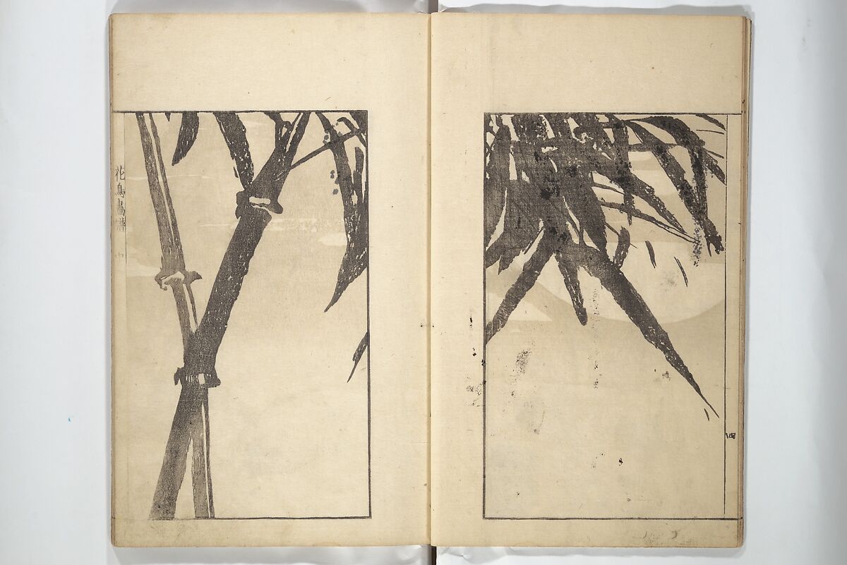 Sō Shiseki Picture Album (Sō Shiseki gafu)  宋紫石画譜, Sō Shiseki 宋紫石 (Japanese, 1715–1786), Set of three woodblock printed books; ink, color, and hand-coloring (vol. 2) on paper, Japan