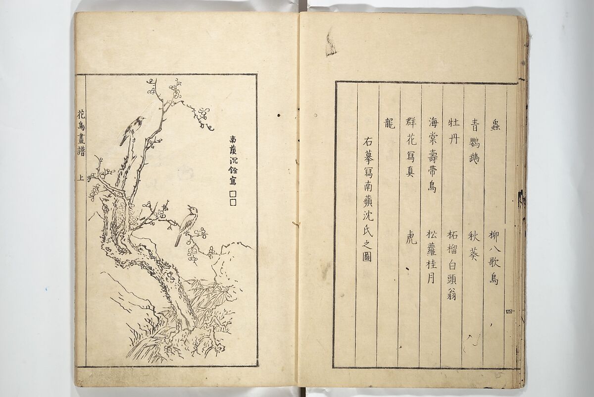 Sō Shiseki Picture Album (Sō Shiseki gafu)  宋紫石画譜, Sō Shiseki 宋紫石 (Japanese, 1715–1786), Set of three woodblock printed books; ink, color, and hand-coloring (vol. 2) on paper, Japan