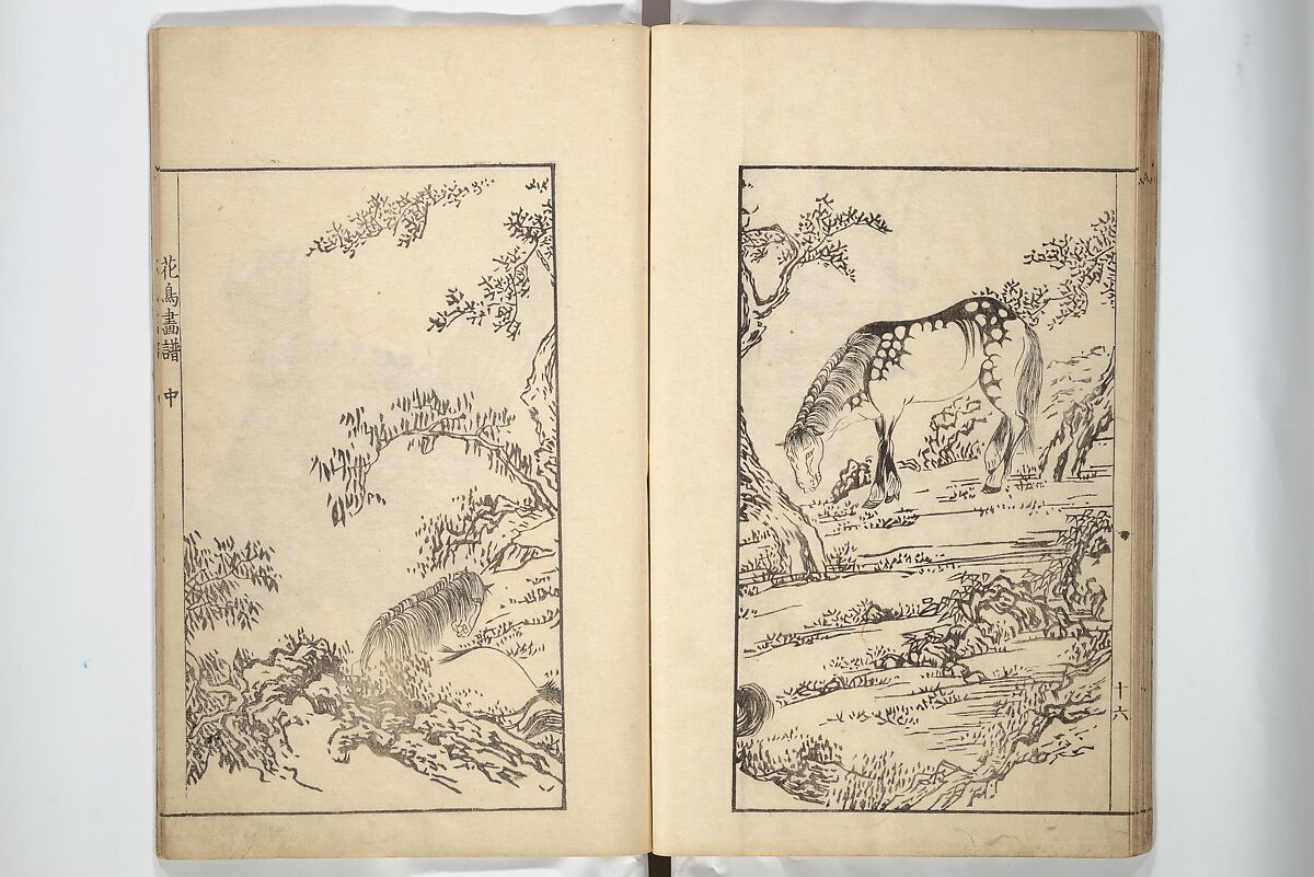 Sō Shiseki Picture Album (Sō Shiseki gafu)  宋紫石画譜, Sō Shiseki 宋紫石 (Japanese, 1715–1786), Set of three woodblock printed books; ink, color, and hand-coloring (vol. 2) on paper, Japan
