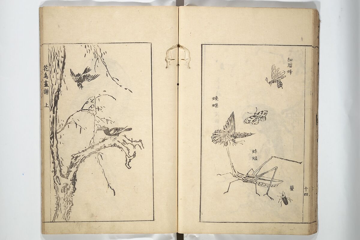 Sō Shiseki Picture Album (Sō Shiseki gafu)  宋紫石画譜, Sō Shiseki 宋紫石 (Japanese, 1715–1786), Set of three woodblock printed books; ink, color, and hand-coloring (vol. 2) on paper, Japan