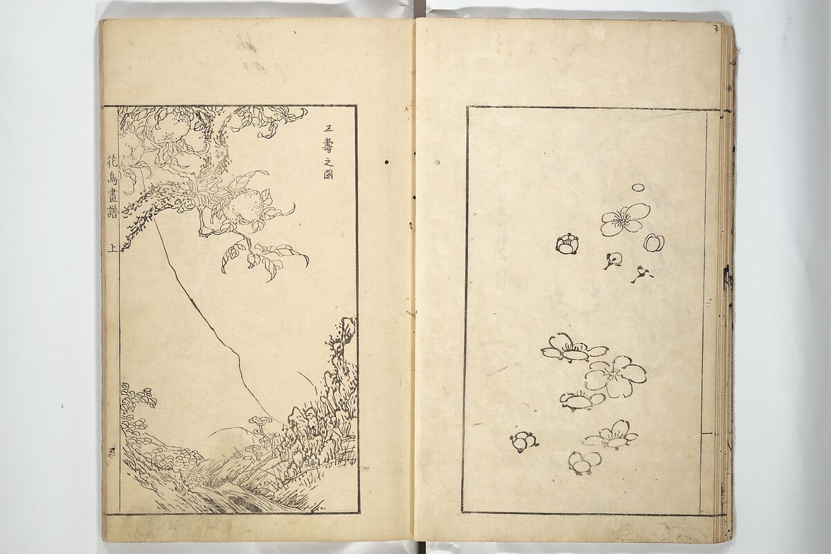 Sō Shiseki Picture Album (Sō Shiseki gafu)  宋紫石画譜, Sō Shiseki 宋紫石 (Japanese, 1715–1786), Set of three woodblock printed books; ink, color, and hand-coloring (vol. 2) on paper, Japan