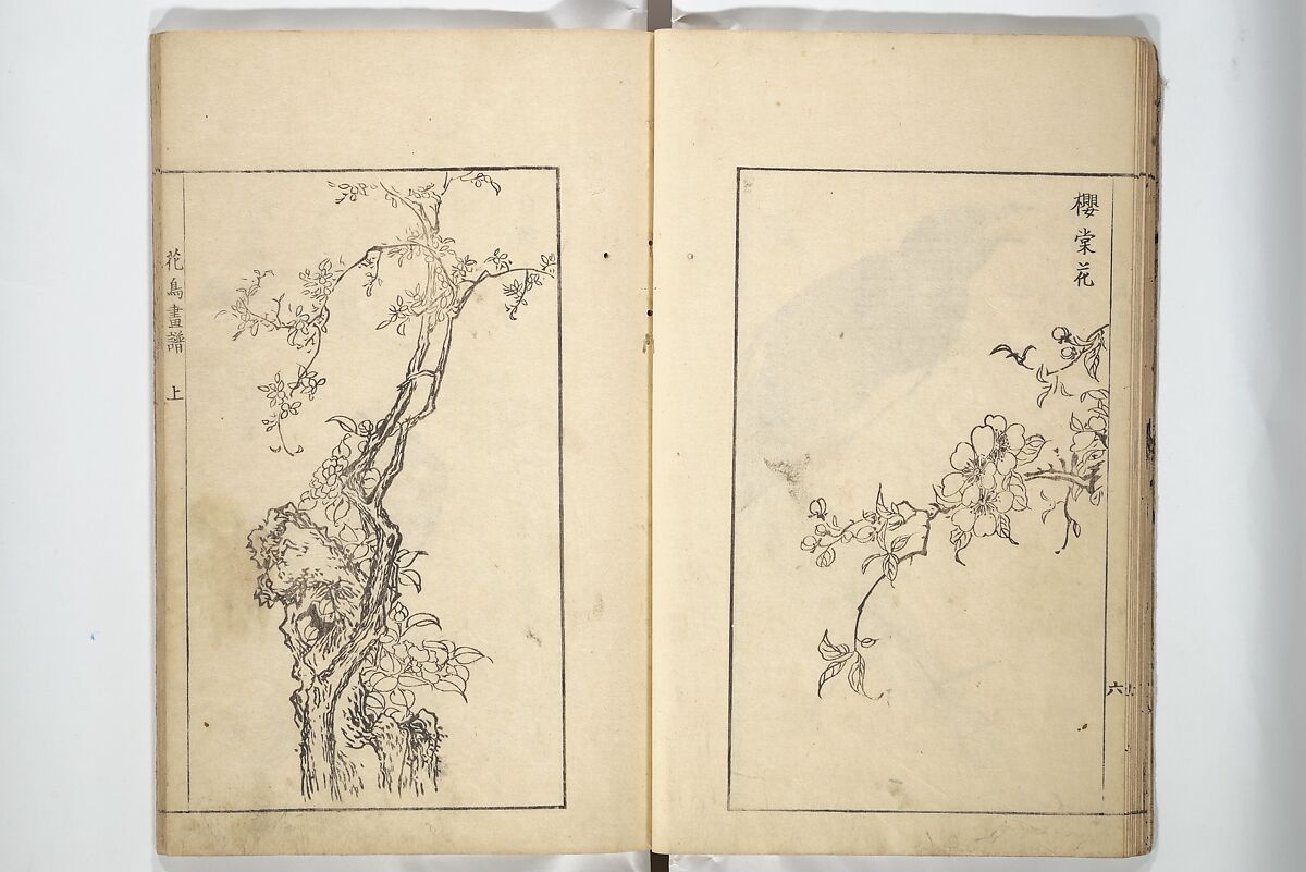 Sō Shiseki Picture Album (Sō Shiseki gafu)  宋紫石画譜, Sō Shiseki 宋紫石 (Japanese, 1715–1786), Set of three woodblock printed books; ink, color, and hand-coloring (vol. 2) on paper, Japan