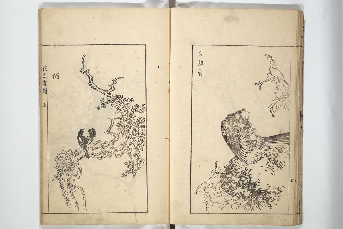 Sō Shiseki Picture Album (Sō Shiseki gafu)  宋紫石画譜, Sō Shiseki 宋紫石 (Japanese, 1715–1786), Set of three woodblock printed books; ink, color, and hand-coloring (vol. 2) on paper, Japan