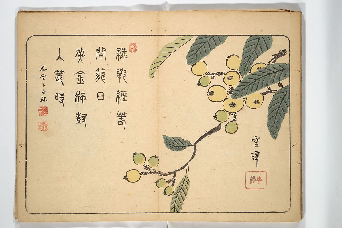Album of Calligraphy and Painting (Shoga jō) 書画帖, Tsukioka Settei (Japanese, 1710–1786), Woodblock printed book (orihon, accordion-style); ink and color on paper, Japan