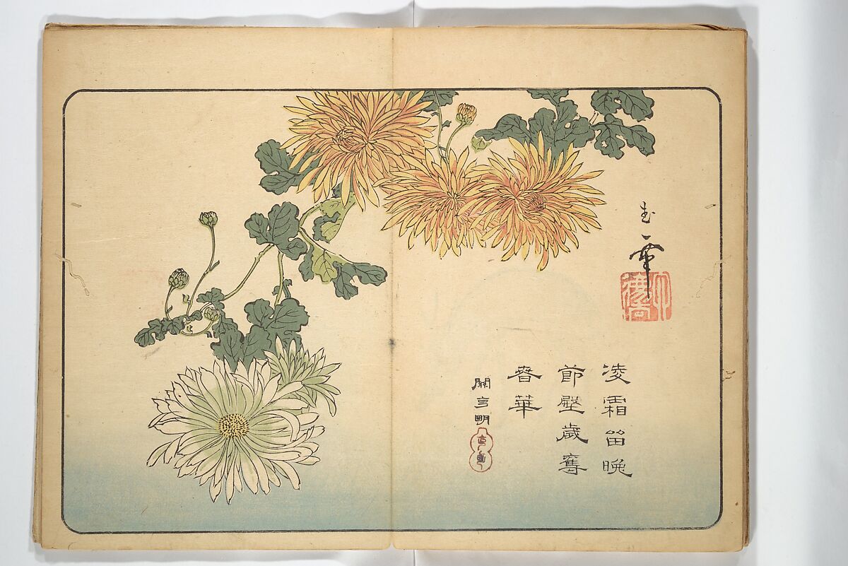 Album of Calligraphy and Painting (Shoga jō) 書画帖, Tsukioka Settei (Japanese, 1710–1786), Woodblock printed book (orihon, accordion-style); ink and color on paper, Japan