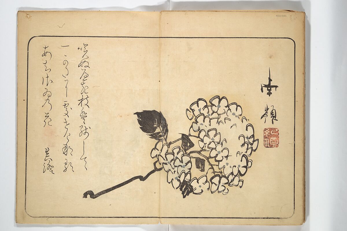 Album of Calligraphy and Painting (Shoga jō) 書画帖, Tsukioka Settei (Japanese, 1710–1786), Woodblock printed book (orihon, accordion-style); ink and color on paper, Japan