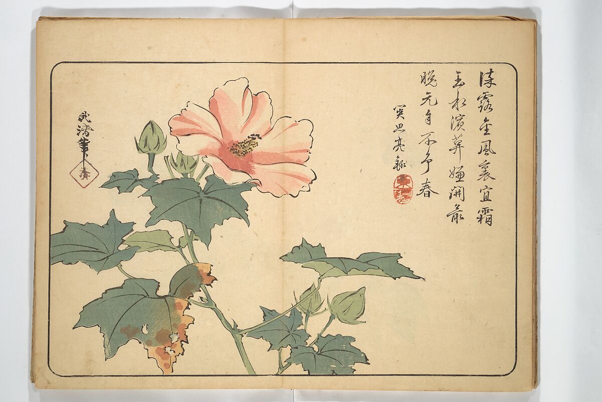 Album of Calligraphy and Painting (Shoga jō) 書画帖, Tsukioka Settei (Japanese, 1710–1786), Woodblock printed book (orihon, accordion-style); ink and color on paper, Japan