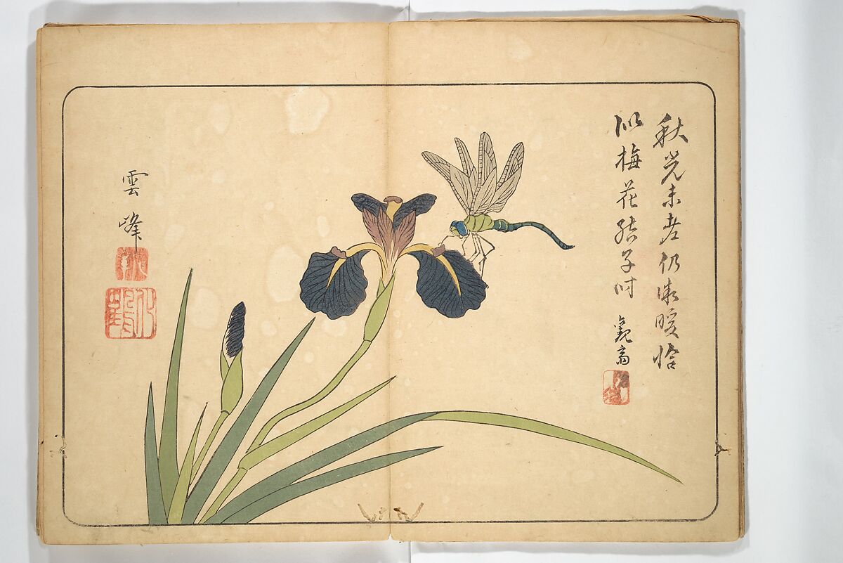 Album of Calligraphy and Painting (Shoga jō) 書画帖, Tsukioka Settei (Japanese, 1710–1786), Woodblock printed book (orihon, accordion-style); ink and color on paper, Japan