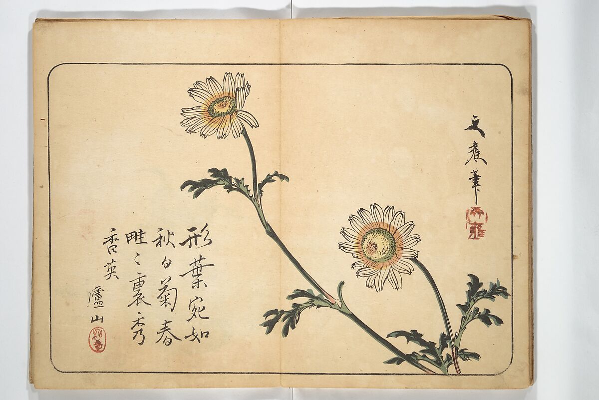 Album of Calligraphy and Painting (Shoga jō) 書画帖, Tsukioka Settei (Japanese, 1710–1786), Woodblock printed book (orihon, accordion-style); ink and color on paper, Japan