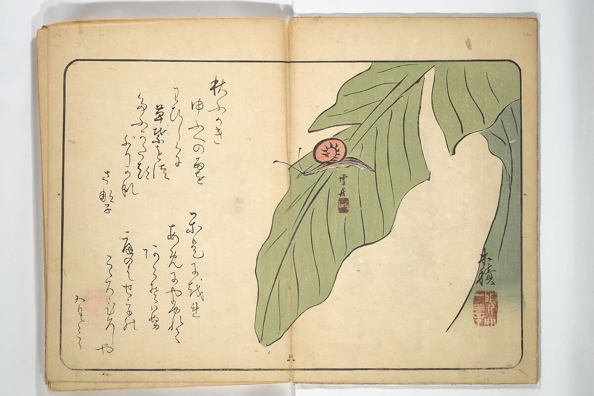 Album of Calligraphy and Painting (Shoga jō) 書画帖, Tsukioka Settei (Japanese, 1710–1786), Woodblock printed book (orihon, accordion-style); ink and color on paper, Japan