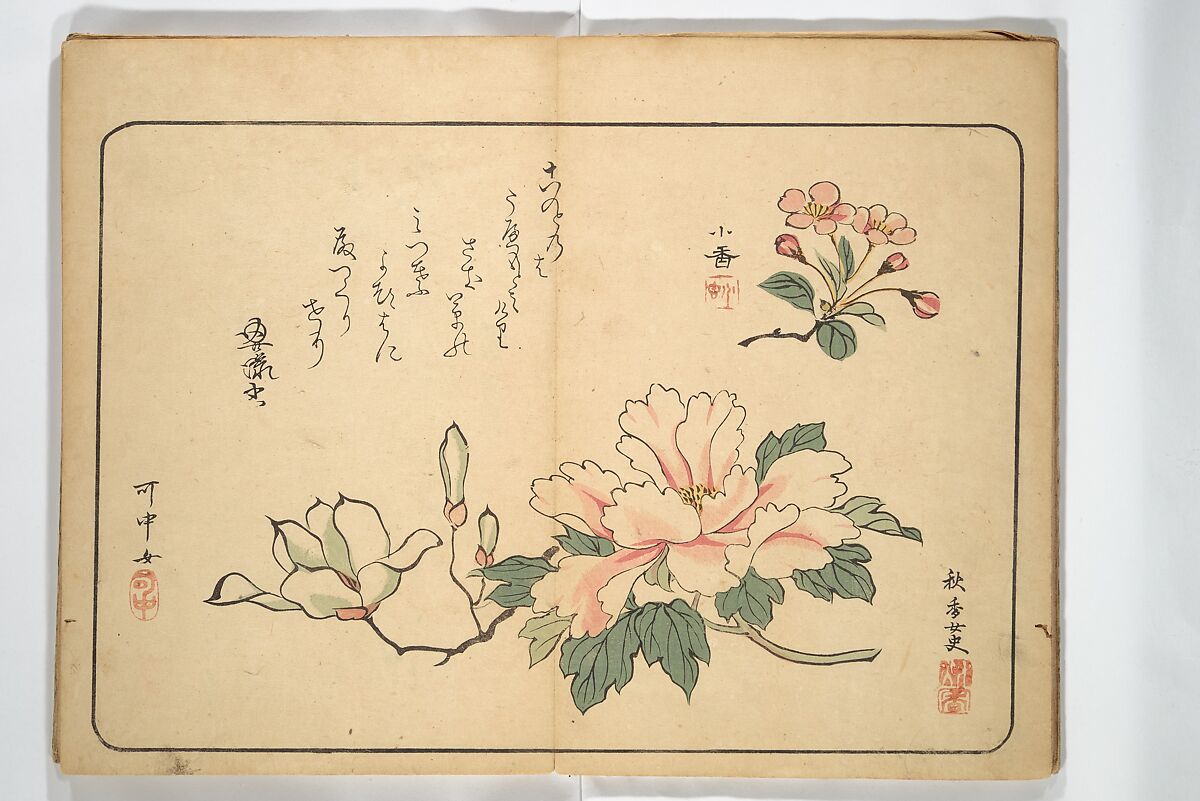 Album of Calligraphy and Painting (Shoga jō) 書画帖, Tsukioka Settei (Japanese, 1710–1786), Woodblock printed book (orihon, accordion-style); ink and color on paper, Japan