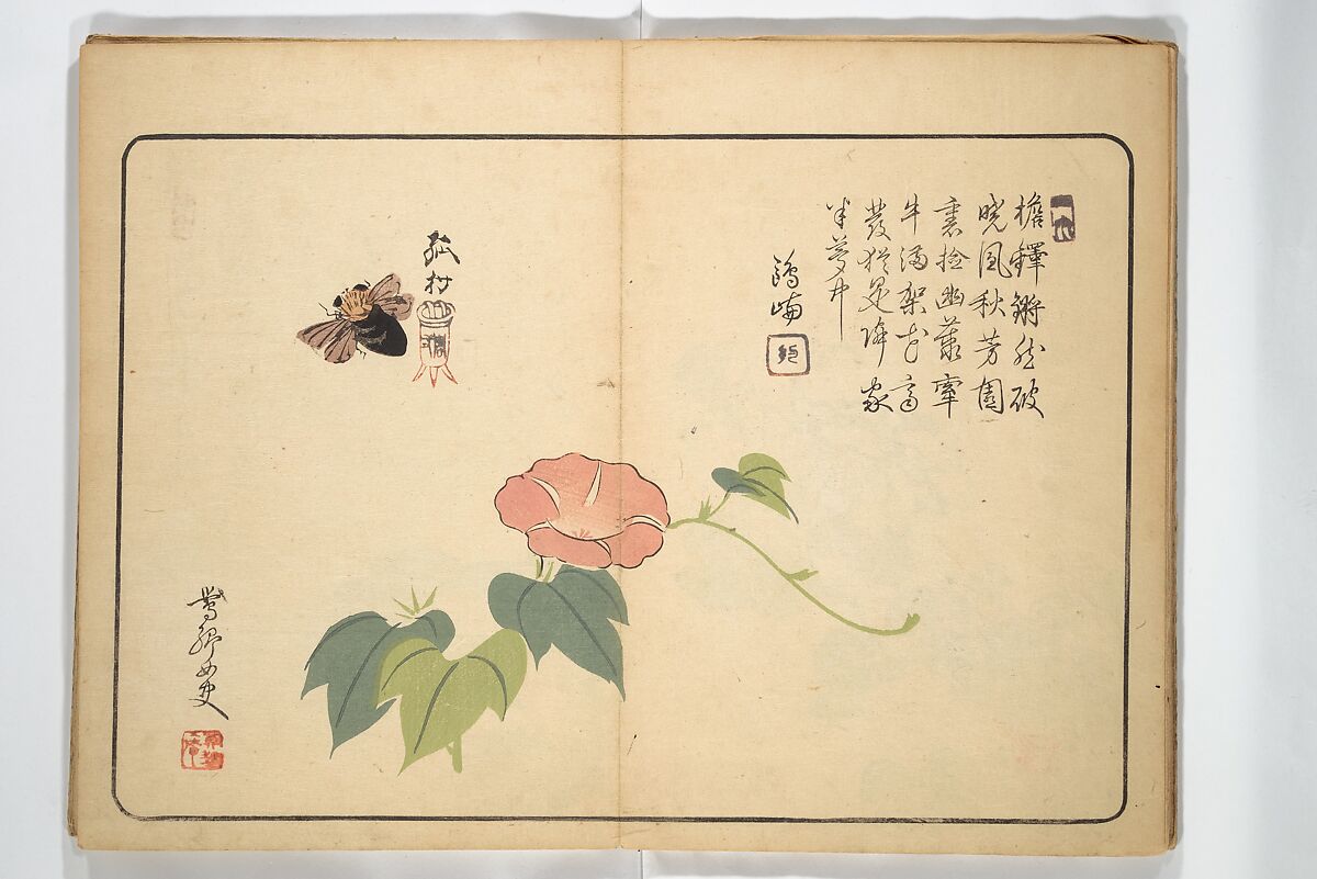 Album of Calligraphy and Painting (Shoga jō) 書画帖, Tsukioka Settei (Japanese, 1710–1786), Woodblock printed book (orihon, accordion-style); ink and color on paper, Japan