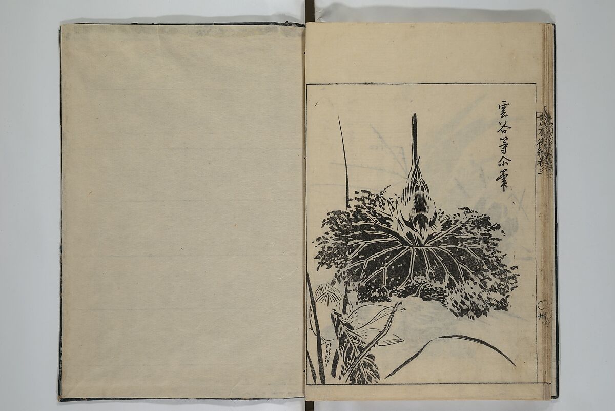 A Garden of Celebrated Japanese and Chinese Paintings (Wakan meigaen} 和漢名画苑, Ooka Shunboku 大岡春卜 (1680–1763), Set of six woodblock-printed books bound as one, with additional volume; ink on paper, Japan