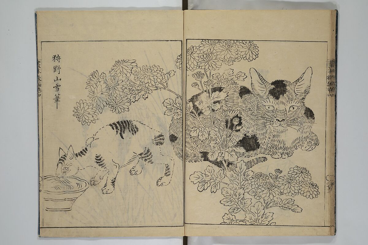 A Garden of Celebrated Japanese and Chinese Paintings (Wakan meigaen} 和漢名画苑, Ooka Shunboku 大岡春卜 (1680–1763), Set of six woodblock-printed books bound as one, with additional volume; ink on paper, Japan