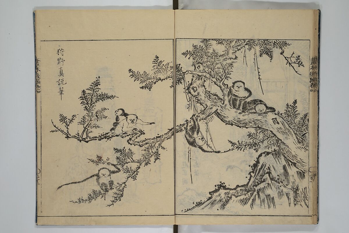 A Garden of Celebrated Japanese and Chinese Paintings (Wakan meigaen} 和漢名画苑, Ooka Shunboku 大岡春卜 (1680–1763), Set of six woodblock-printed books bound as one, with additional volume; ink on paper, Japan