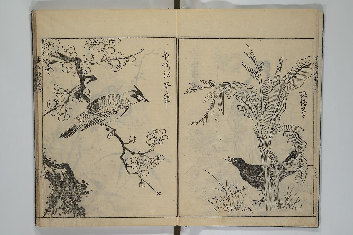 A Garden of Celebrated Japanese and Chinese Paintings (Wakan meigaen} 和漢名画苑, Ooka Shunboku 大岡春卜 (1680–1763), Set of six woodblock-printed books bound as one, with additional volume; ink on paper, Japan